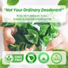 Body Mint Original | Chlorophyll Deodorizing Supplement for Full Body