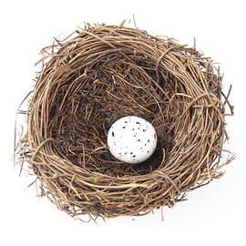 Birds Nest, Artificial Bird Nest, Fake Bird's Nest Vintage Bird Cage Creative For Easter Spring Decor Optical Store Window Display (8CM)