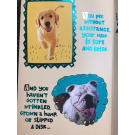 American Greetings Funny Humorous Animal Dog Large Foldout Birthday Card American Greeting
