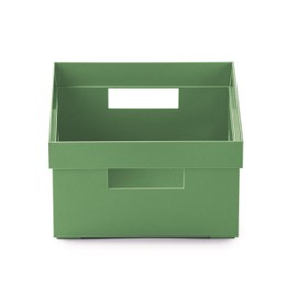 Snips Cassetta Multiuso, Organizer Multiuso, Contenitore Multiuso 2 LT, Colore Verde, 20 x 15 x 8,5 cm, Made in Italy