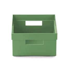 Snips Cassetta Multiuso, Organizer Multiuso, Contenitore Multiuso 2 LT, Colore Verde, 20 x 15 x 8,5 cm, Made in Italy