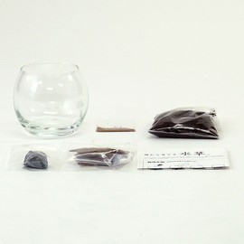 Seishin Ceramics Growing Aquatic Plants S Approx. 12.6x12x11.6cm GD-812