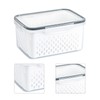 Produce Saver Box, Transparent Fruit Vegetable Storage Container, Drain Storage
