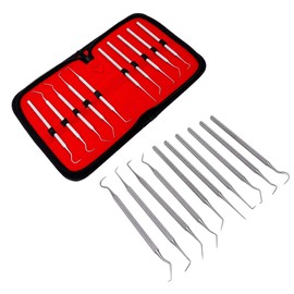 10-Piece Stainless Steel Precision Probe Set: Straight, Single, Short Double, Long Double, Triple and Hook Tips 5.5" to 6".