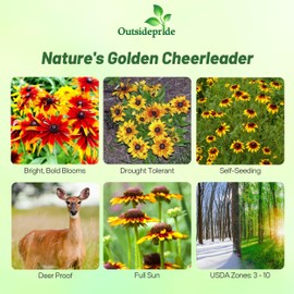 Outsidepride Gloriosa Daisy Rudbeckia Seeds - 1/4 lb. Perennial, Easy to Grow & Self-Seeding Flower Seeds For Planting Bicolored Double Blooms, For Low Maintenance Pollinator Gardens & Erosion Control