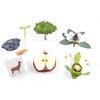 NewPath Plant Life Cycle 3-D Paper Model Making Kit, Set/5