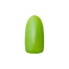 Dna Gel Color Gel MG02 2.5g Leaf UV/LED Compatible