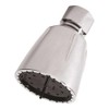 Danco 80480 Shower Head, Chrome