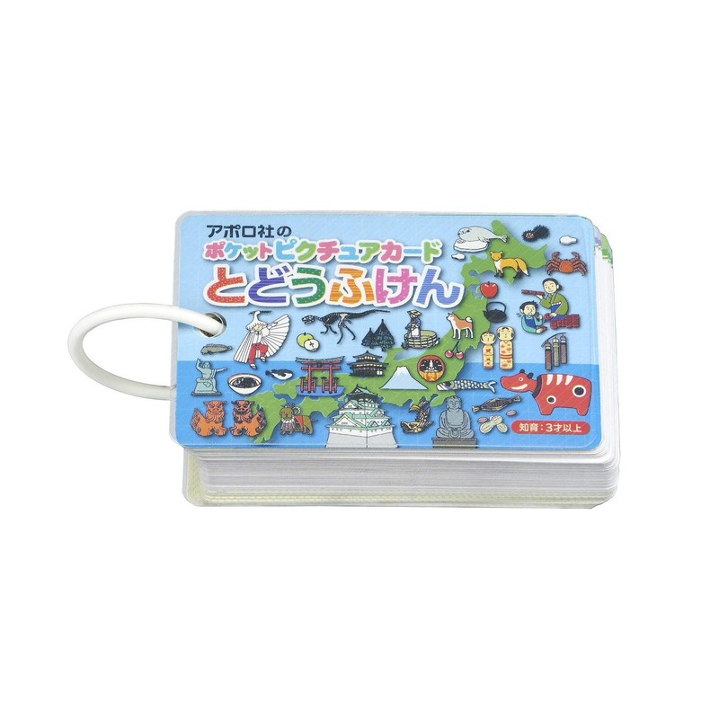 Epoch 【Pocket Picture Card】 Todoufu-ken 08-307 with Ring & Clear
