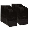 Black Magic Paper Party Bags - 10" x 5" (12
