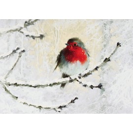 English Robin in Winter Deluxe Boxed Holiday Cards (Christmas Cards, Greeting Cards)