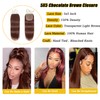5x5 Chocolate Brown Closure #4 closure straight 18 Inch