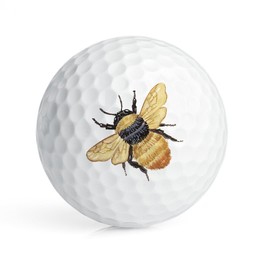 CafePress Bumblebee Novelty Golf Balls (Pk of 6)