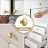 25Pcs Drawer Knob Set Zinc Alloy Cabinet Handles Rustproof Gold