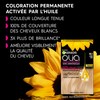 Garnier Olia Permanent Hair Colour Ammonia Free with Natural Flower
