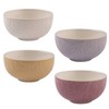 Mason Cash in The Meadow Set of 4 Mini Bowls,