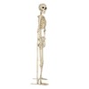 Crazy Bonez Pose-N-Stay Metal Stand for 60 Inch (5 Ft.)