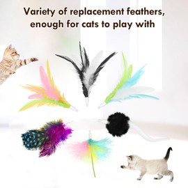 APODESS 6 Pcs Feather Replacement Cat Toys for CT01 cat Toy Feather Accessories for Indoor Refills kittenToy Accessories