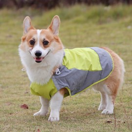 ClawsPurrfect Dog Hood Waterproof Raincoat: Large Medium Refective Packable Poncho Green 6