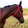 Adjustable Bitless Bridles for Horses, Hobby Horse Bridle,Horse Headstall, Draft