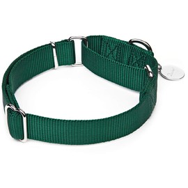 Dazzber Martingal Collars for Dogs, Adjustable, Durable, No Escape Stop, Pull Nylon Dog Collar, for Large/Medium/Small Dogs