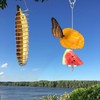 4Pcs Butterfly Feeders for Outdoors, Outside Bird Fruit Holder, Hangable