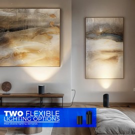 Barrina Uplighting Indoor Spotlight, 2 in 1 Detachable Up Lights Indoor Floor Can Light with 3000K GU10 Bulb, LED Spot Lights for Plant Picture Home, 6.56FT Plug Cord & Foot Switch,2 Packs