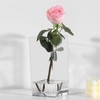 Rospynn Acrylic Cylinder Vase, Thick Vase, Non-Breakable Plastic, Decorative Centerpiece
