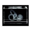 Cochlea 3D Laser 1lb Crystal, Hearing Labyrinth, Ear, Audiology