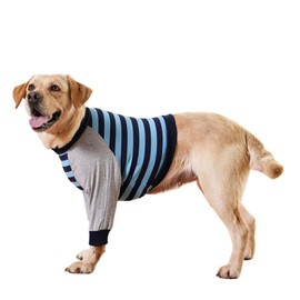 Large Dog Striped Elbow Protection Shirt for for Calluses,Dog Joint Recovery Pajamas for Prevent Licking Wound,Thickened Elbow Dog Clothing Pullover for Medium Large Dogs_XL(Blue)