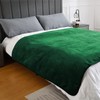 Yaning Waterproof Blanket for Bed Couch Sofa, Soft Liquid Pee