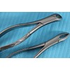 German Steel Dental EXTRACTING Forceps NO150 NO 151 Dental Surgical