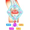 【3本セット】GH Creation EX+ ジーエイチ クリエーション EX プラス 300mg 270粒 90日分