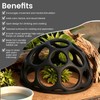 Snake Jungle Gym for Small to Medium Snakes, Medium Reptile