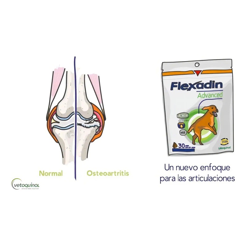 Flexadin Advanced Original 60 Chews Vetoquinol