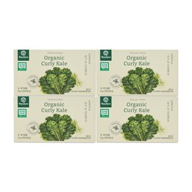 BenePharm Organic Curly Kale 4 Boxes (2g 25 Packets/Total 100 Packets) Freeze-Dried / 베네팜 유기농 곱슬케일 4박스(2g25포총100포) 동결건조