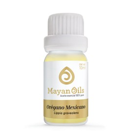 MAYAN OILS Aceite Esencial de Oregano Mexicano 100% Puro 100% Naturales de Grado Terapeutico de 10ml