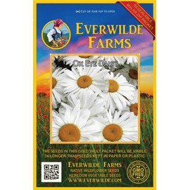 Everwilde Farms - 2000 Ox-Eye Daisy Wildflower Seeds - Gold Vault Jumbo Seed Packet