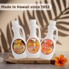 Hawaiian Sun Lilikoi Passion Fruit Syrup for Pancakes And Waffles