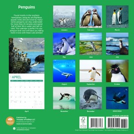 2025 Penguins Monthly Wall Calendar by Bright Day, 12 x 12 Inch Cute Nature Photography Gift