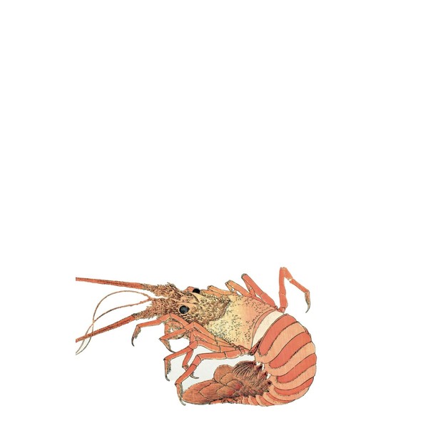 Japanese Vintage Notebook (Sea animals / Shrimp) - A5 Notebook