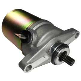 Unbranded Ice Bear Trike 50cc 4-Stroke Starter Motor Mojo Shark Q6 Ace Elf Pluto + others