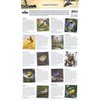 2017 Songbirds stamps in a Presentation Pack PP512 (printed no.