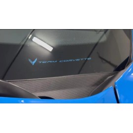 23766  C8 Corvette RAPID BLUE 'TEAM CORVETTE' PLAIN BLANK VINYL INSERT!  2IN X 7IN