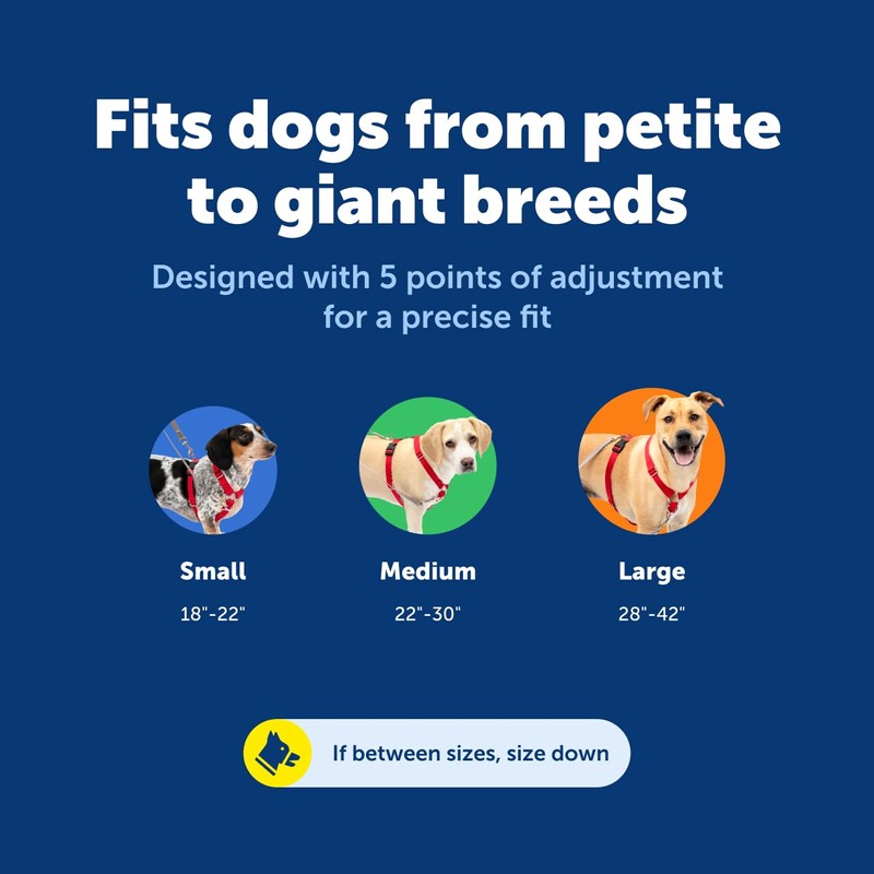 PetSafe Sure-Fit Harness - Maximum Adjustability - Soft Padded Straps
