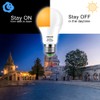 Dusk To Dawn Light Bulbs A19 8W 720 Lumens, Amber