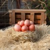 Pack of 5 Easter Eggs, Wooden Brown Fake Emergency Eggs
