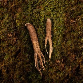 Myeongga Premium Genuine Edition VIP Gangwon-do Wild Ginseng 5 Roots + Sand Duck 200gX2 Pack / 명가일품 정품 에디션VIP 강원도 산양삼5뿌리+산더덕 200gX2팩