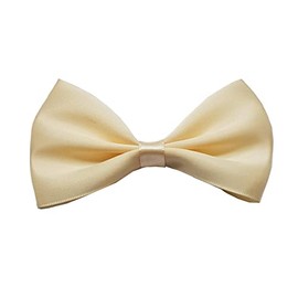 Kids Boys Pre-Tied Satin Bow Tie Plain Bow Tie for Wedding Party Adjustable Formal bow tie-Elastic band (Cream)