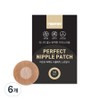 Findew Perfect Nipple Patch Skin Color 100p, 6 pieces / 파인듀 퍼펙트 니플패치 스킨컬러 100p, 6개